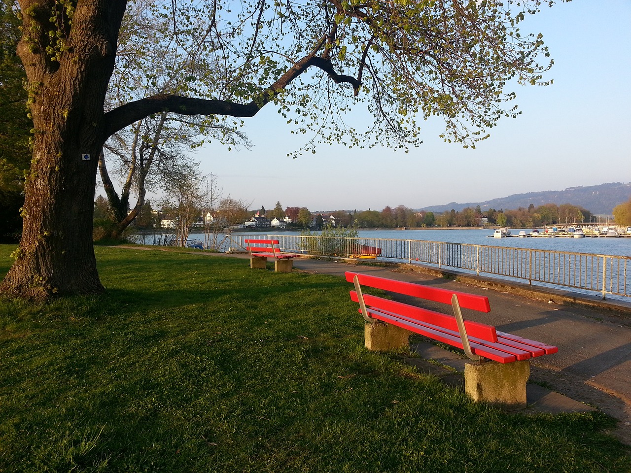 这就走了？！拜仁官方：中国门将刘邵子洋加盟奥地利霍恩俱乐部.